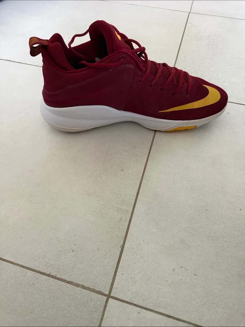Nike LeBron witness V(5) basketball shoes